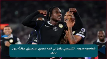 خماسية مدوية.. تشيلسي يقفز إلى قمة الدوري الإنجليزي مؤقتًا بدون بالمر